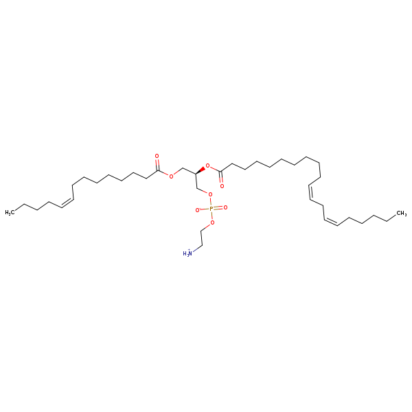 Image of MNXM71304