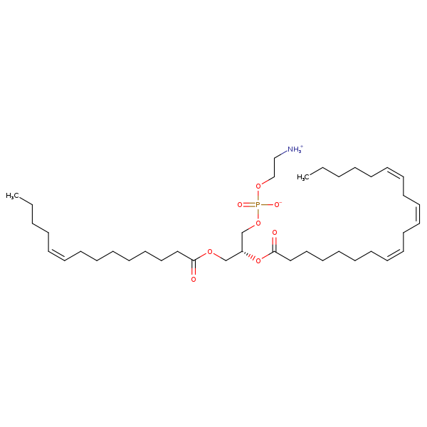 Image of MNXM71306