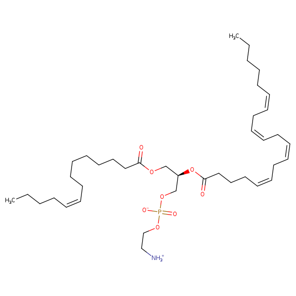 Image of MNXM71307