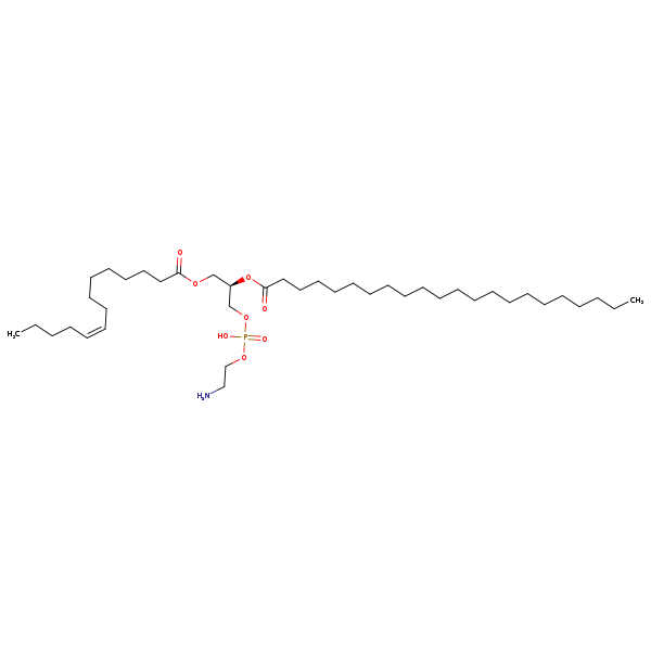 Image of MNXM71311