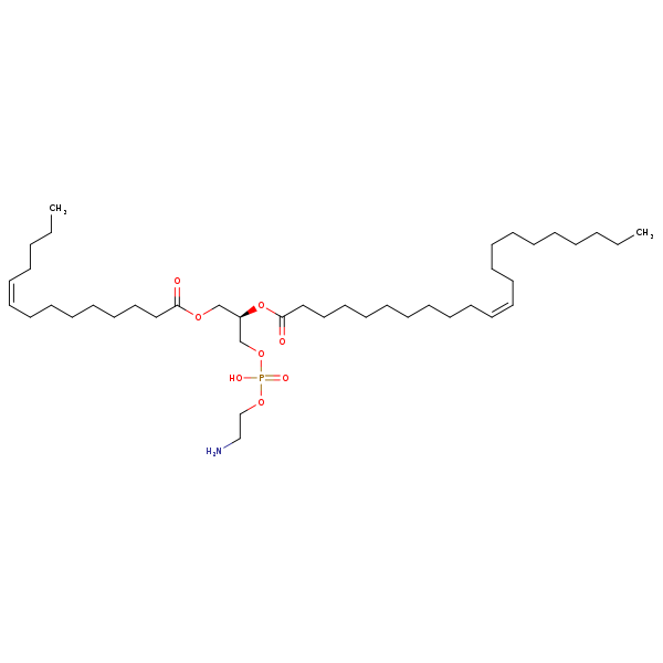 Image of MNXM71312
