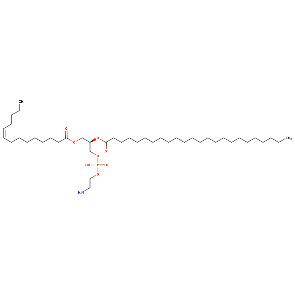 Image of MNXM71319