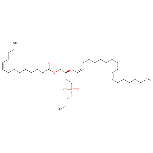 Image of MNXM71323