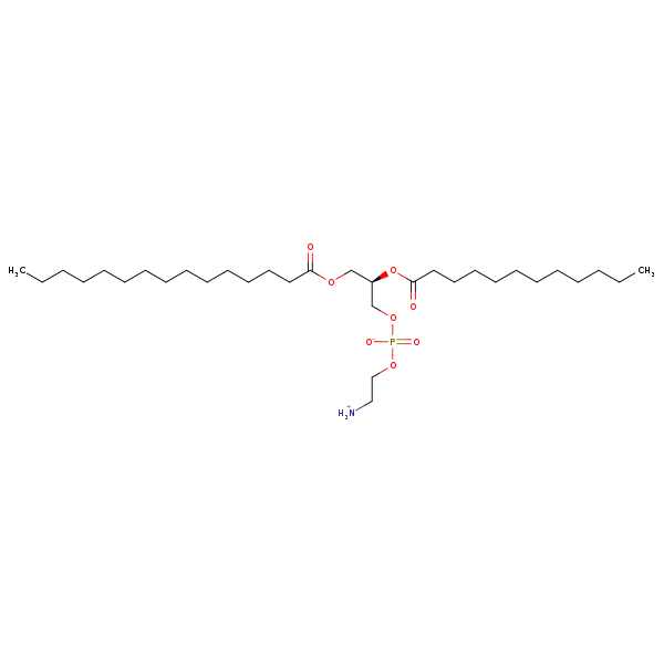 Image of MNXM71325