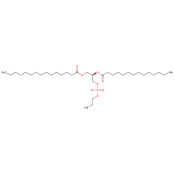 Image of MNXM71327
