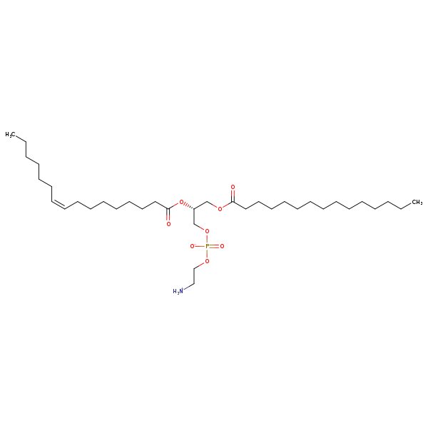 Image of MNXM71332