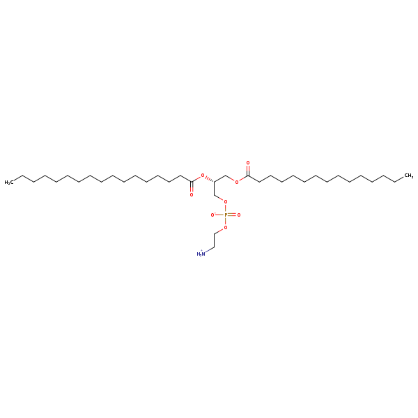 Image of MNXM71333