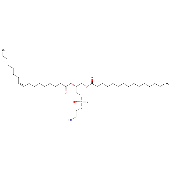 Image of MNXM71334