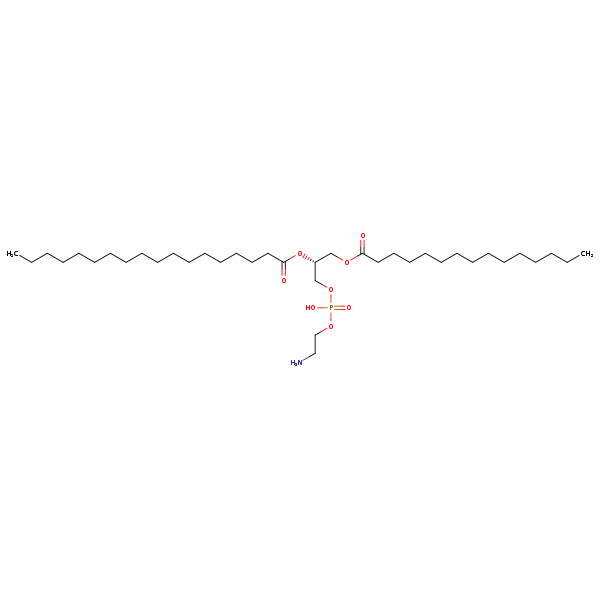 Image of MNXM71336