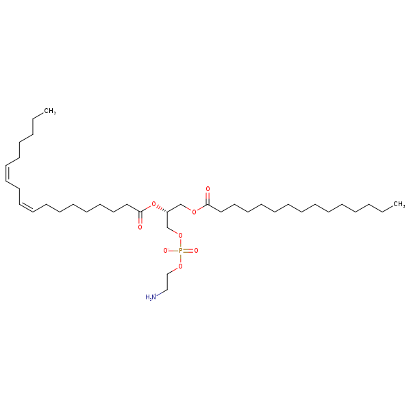 Image of MNXM71339