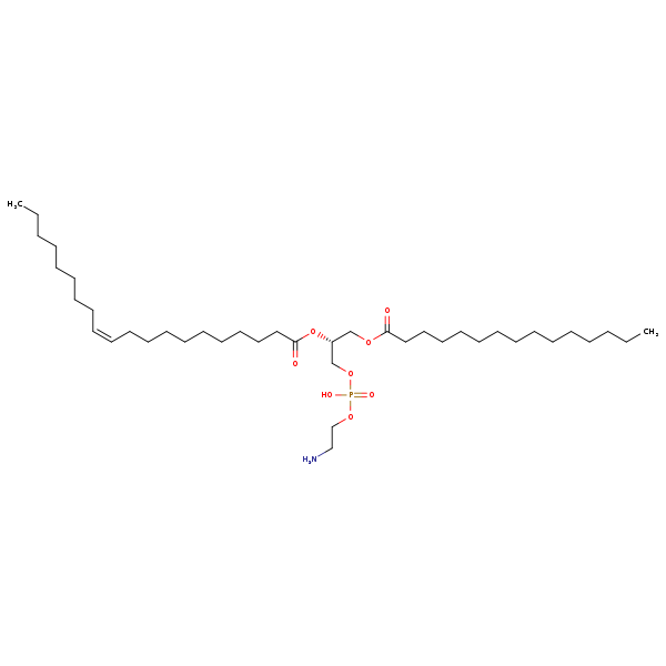 Image of MNXM71346