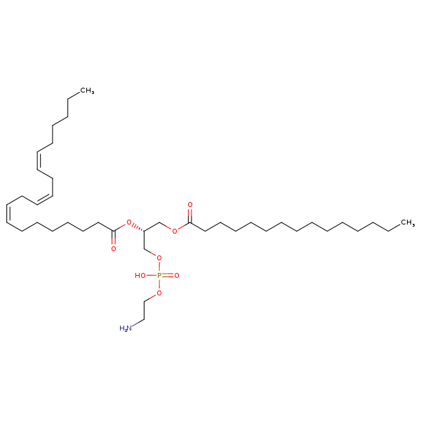 Image of MNXM71349