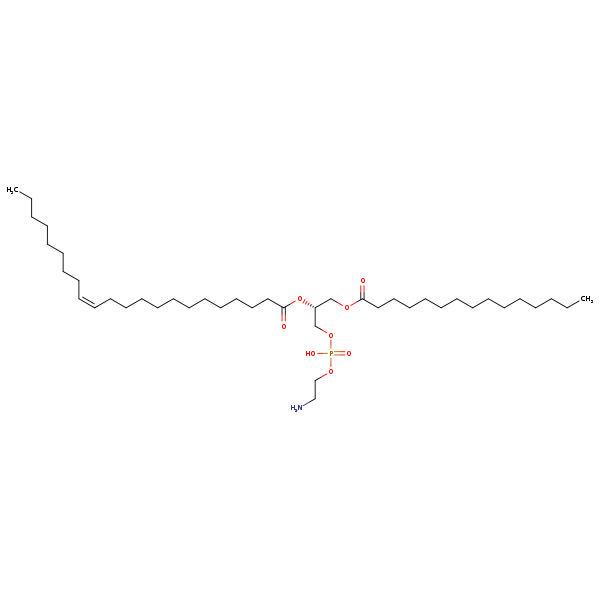 Image of MNXM71356