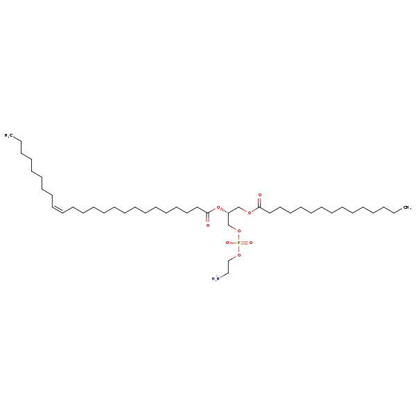 Image of MNXM71363