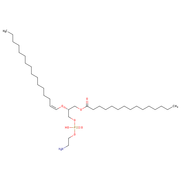 Image of MNXM71364