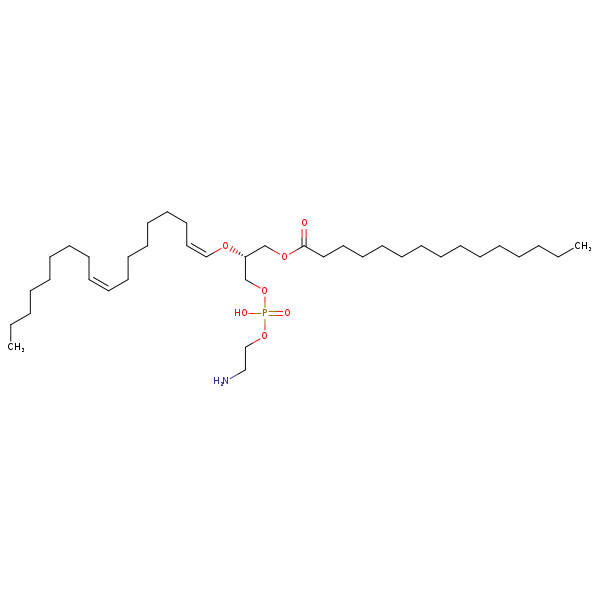 Image of MNXM71367