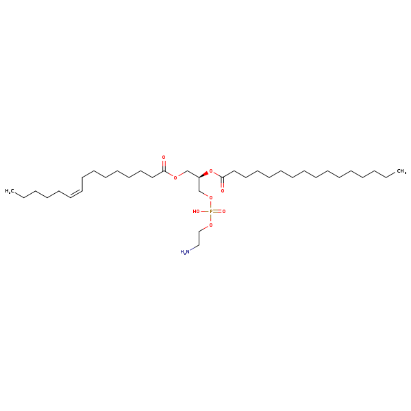 Image of MNXM71375