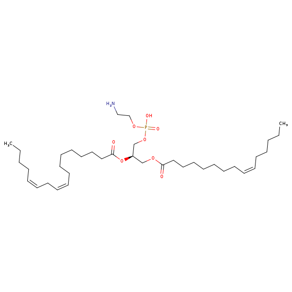 Image of MNXM71379