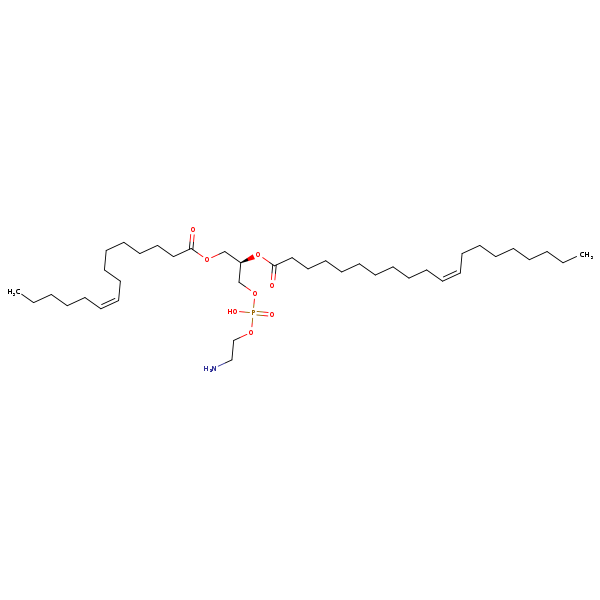 Image of MNXM71389