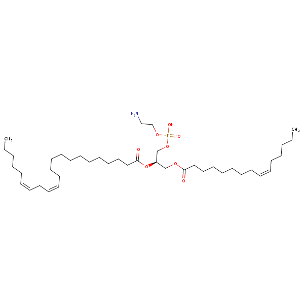 Image of MNXM71397