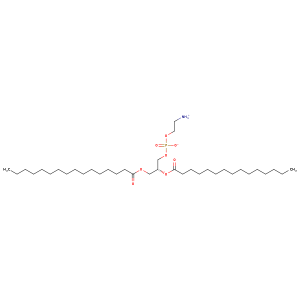 Image of MNXM71404