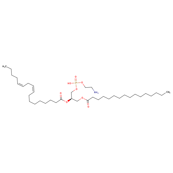 Image of MNXM71409