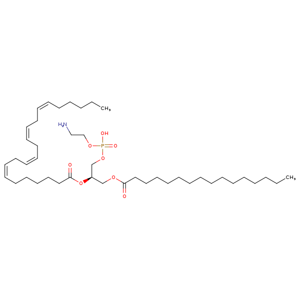 Image of MNXM71436