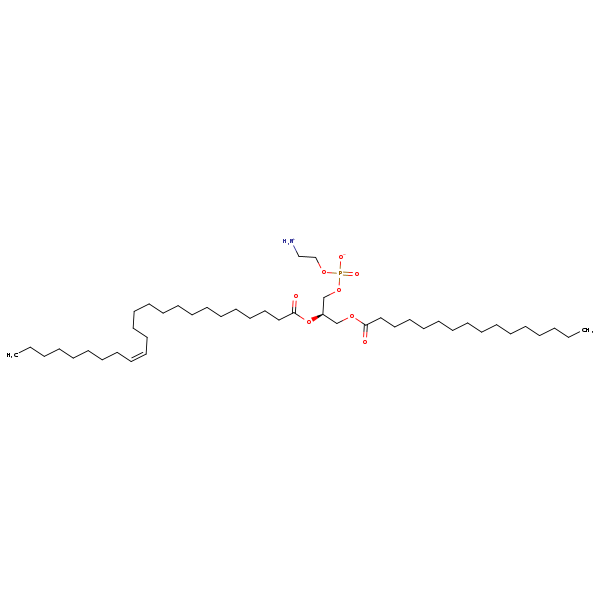 Image of MNXM71442