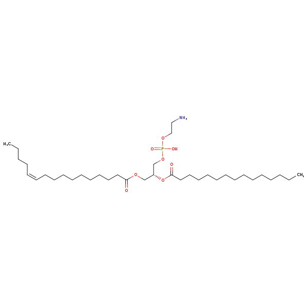 Image of MNXM71447