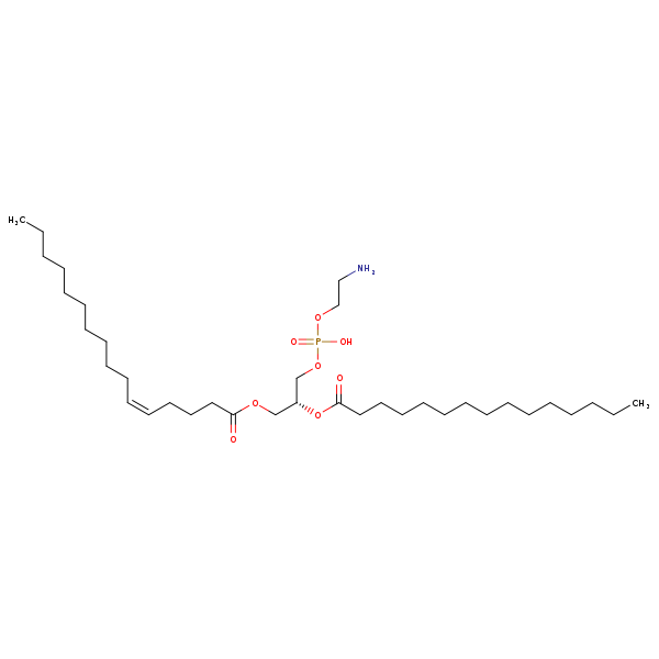 Image of MNXM71449