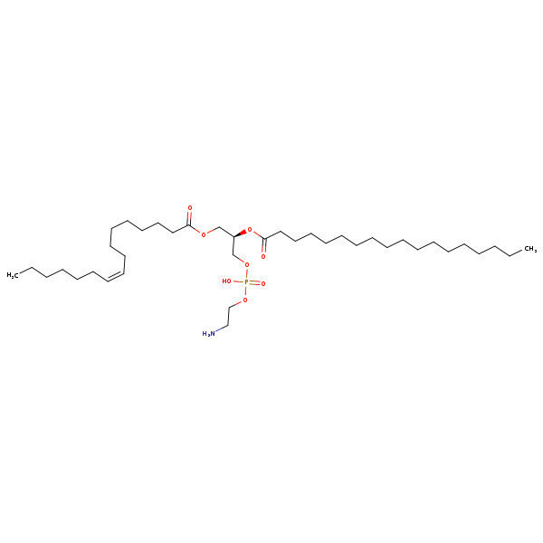 Image of MNXM71462