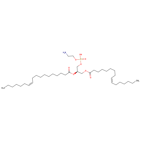 Image of MNXM71463