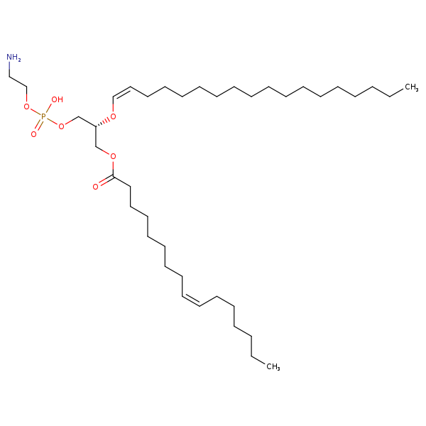 Image of MNXM71492