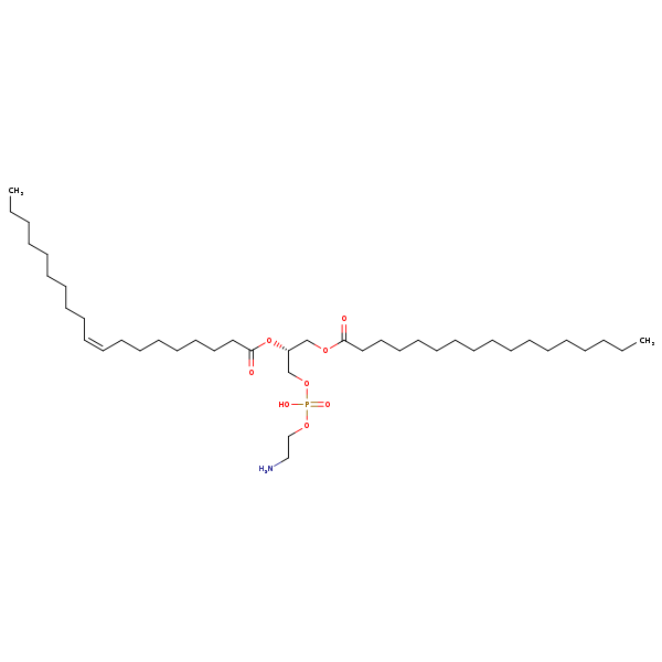 Image of MNXM71514