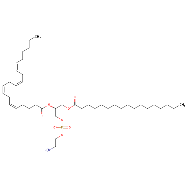 Image of MNXM71519