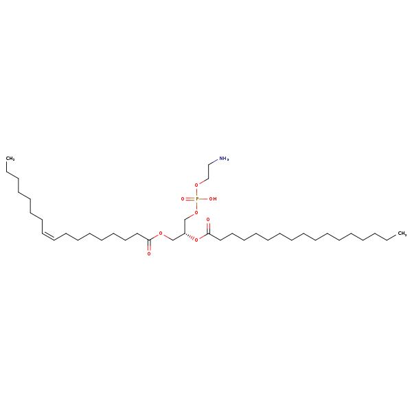 Image of MNXM71536