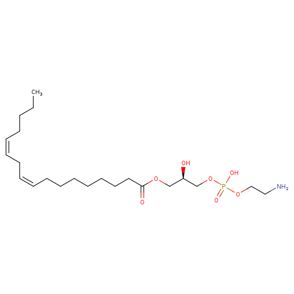 Image of MNXM71559