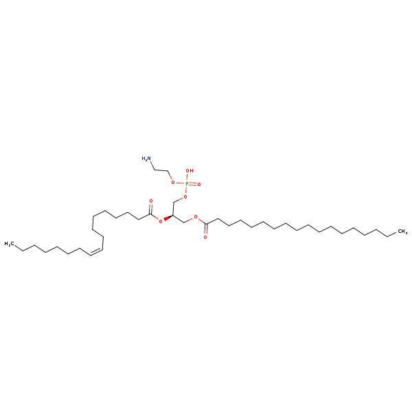 Image of MNXM71602