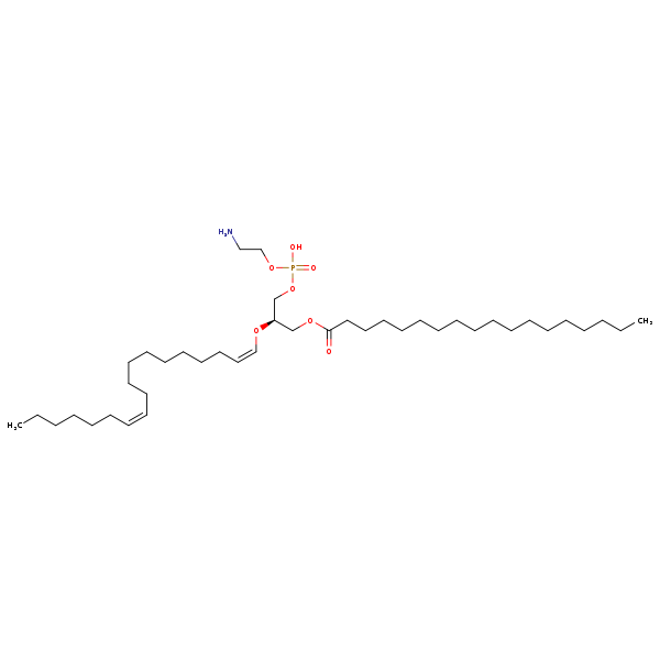 Image of MNXM71639