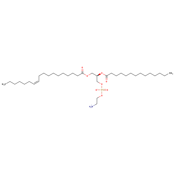 Image of MNXM71642