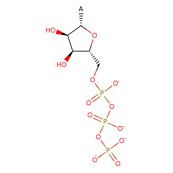 Image of MNXM729013