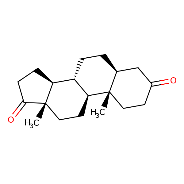 C19H28O2 isomers