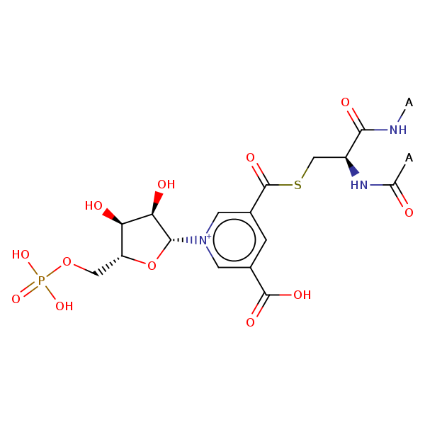 Image of MNXM743699