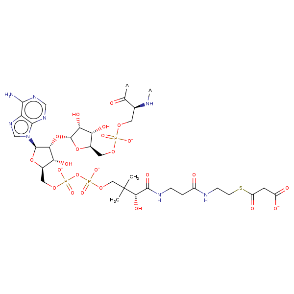 Image of MNXM7505