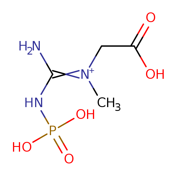 Image of MNXM819