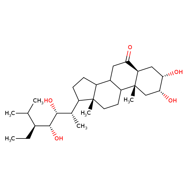 Image of MNXM819801