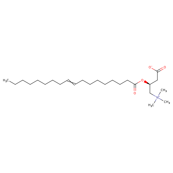 Image of MNXM8956