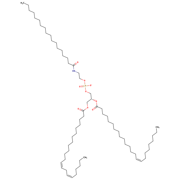 Image of MNXM954979