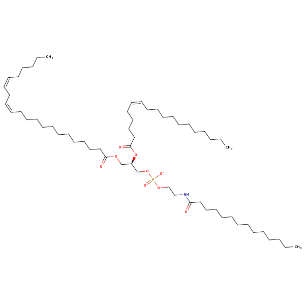 Image of MNXM955019