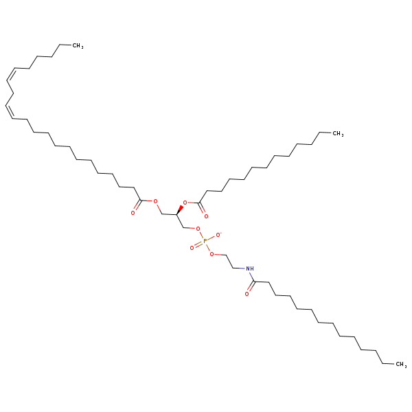 Image of MNXM955075
